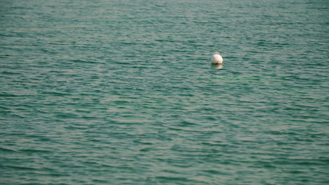 Buoy-On-The-Surface-Of-The-Sea