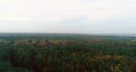 Flying-Over-Forest-Forest-From-Above-14