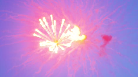 Fireworks-Exploding-Against-Sky-At-Night-4