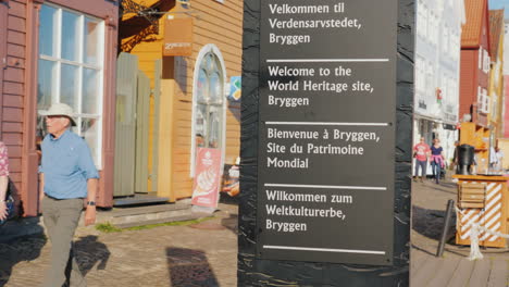 Stella-Mit-Dem-Unesco-abzeichen-In-Bergen-Im-Hintergrund-Alte-Holzhäuser