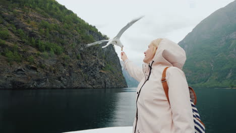 A-Woman-Is-Feeding-A-Gull-That-Flies-By-Trust-And-Tame-The-Concept-Journey-Through-The-Fjords-Of-Nor