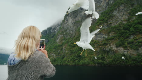 Der-Tourist-Fotografiert-Wunderschöne-Fjorde-Und-Möwen,-Die-In-Der-Nähe-Fliegen.-Kreuzfahrt-Auf-Den-Fjorden-Norwegens