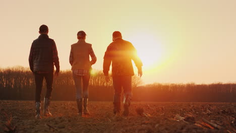 Drei-Bauern-Gehen-Bei-Sonnenuntergang-Auf-Einem-Gepflügten-Feld-Voran-Junges-Bauernteam-4k-Video