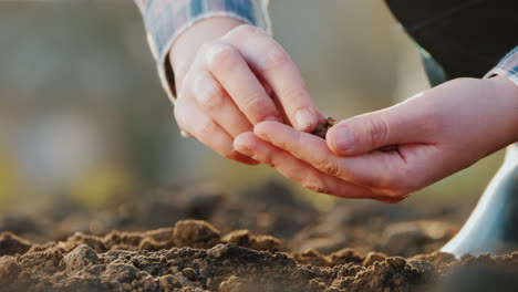 Farmer\'s-Hands-Are-Planting-Grain-Into-The-Soil-New-Life-Concept