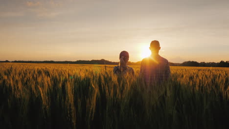 Two-Farmers-A-Man-And-A-Woman-Are-Looking-Forward-To-The-Sunset-Over-A-Field-Of-Wheat-Teamwork-In-Ag
