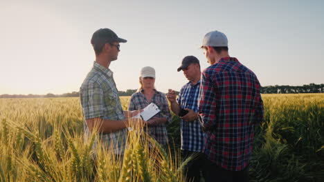 A-Group-Of-Farmers-Are-Chatting-Around-A-Wheat-Field-Debating-Teamwork