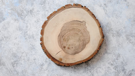Gealterter-Rissiger-Holzbaumabschnitt