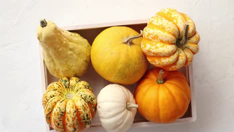 Different-pumpkins-laid-in-box