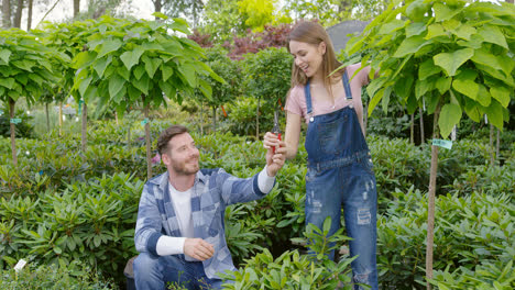 Man-and-woman-taking-care-of-plants-in-the-garden