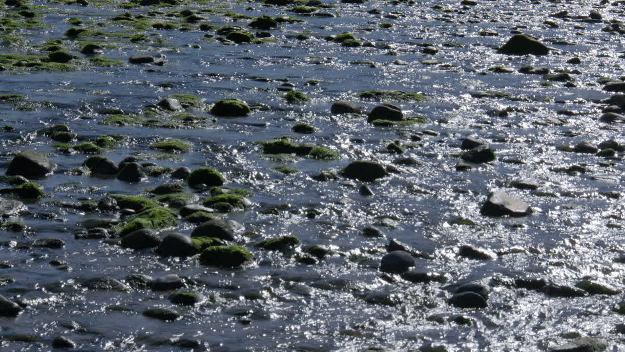 Mid Shot of the river Gido Rippling over rocks on the new quay beach at new quay bay