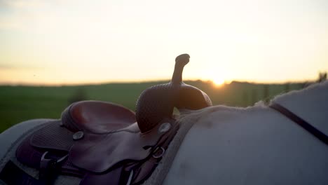 Toma-En-Cámara-Lenta-De-Un-Caballo-Ensillado-Con-Una-Puesta-De-Sol-Baja-Detrás