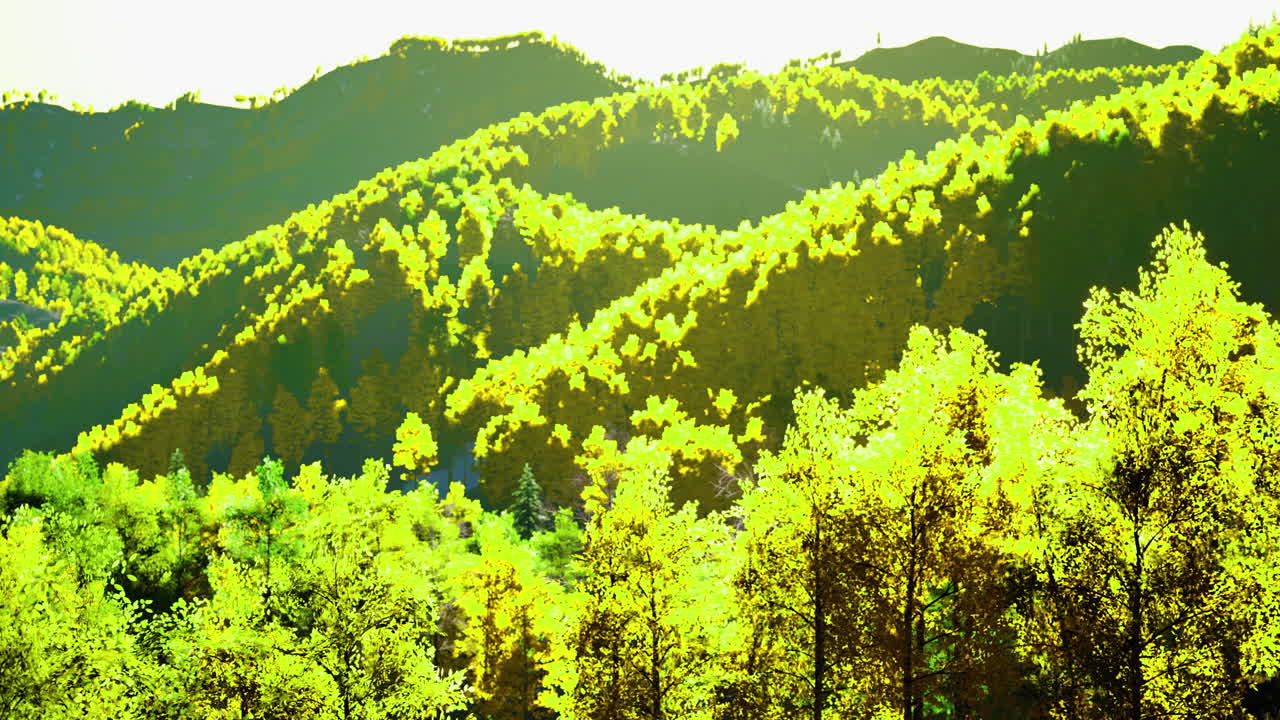 Lush greenery envelops the serene mountains under a bright afternoon sun