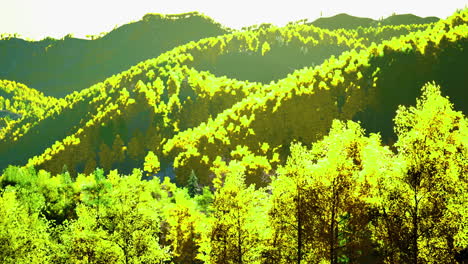 lush greenery envelops the serene mountains under a bright afternoon sun