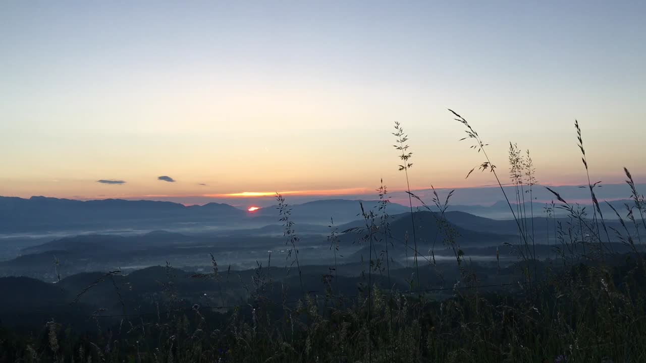 일출 또는 일몰, 앞쪽에 높은 잔디