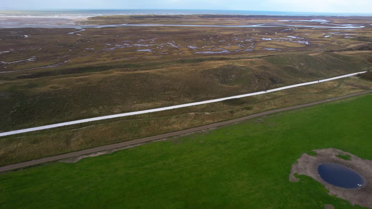 una granja sobre hierba verde y exuberante está al lado de una carretera y marismas sombrías verdes sucias de la isla de texel, países bajos