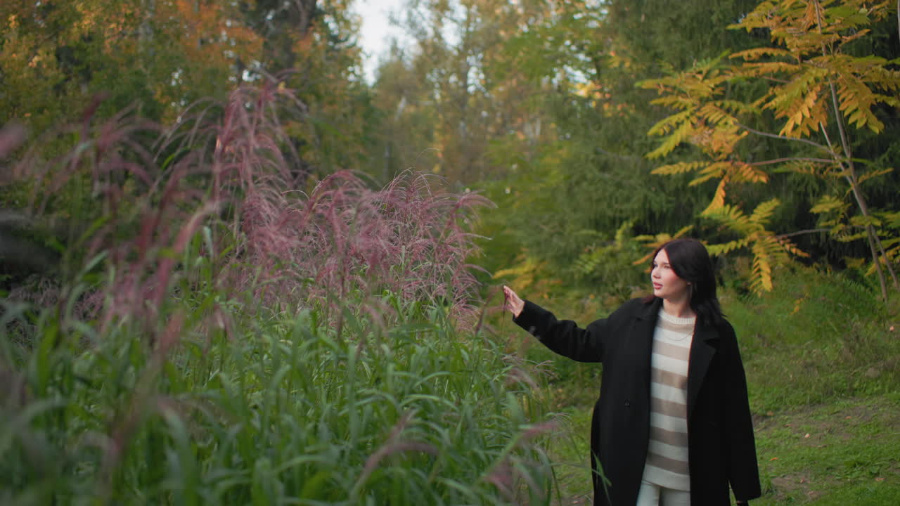 Casual woman walking through park touches pine grove softly, arm extended over tall reeds, striped sweater under black coat, calm face, warm autumn light on leaves, relaxed pace along green path