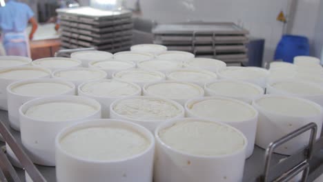 frozen cheese in containers neatly arranged on the table in the cheese factory