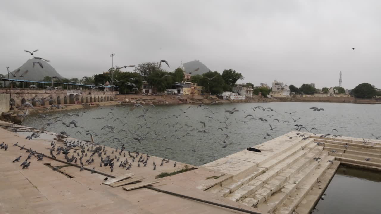 Ancient holy pilgrimage city Pushkar, with pigeons flying over holy waters