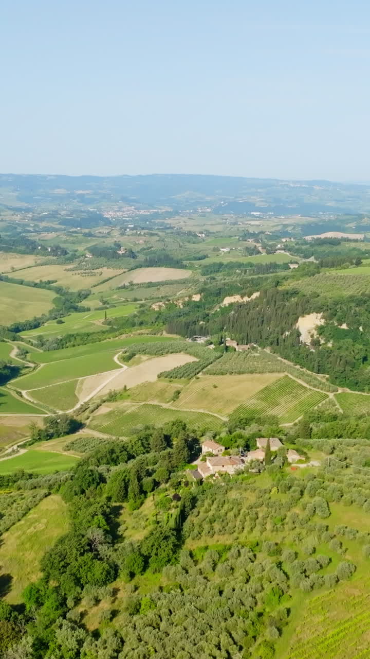 Vertical drone shot rising over vineyards of Tuscany, sunny day in Italy