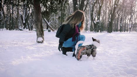 young woman playing with jack russell terrier in winter time in snow, slow motion