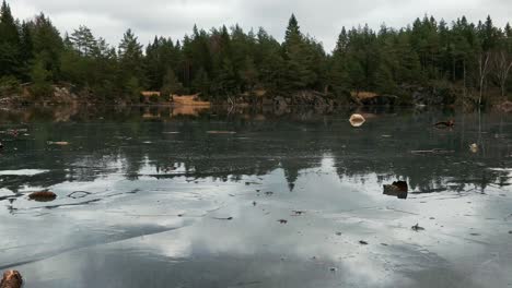 low shot of wet ice lake in forest