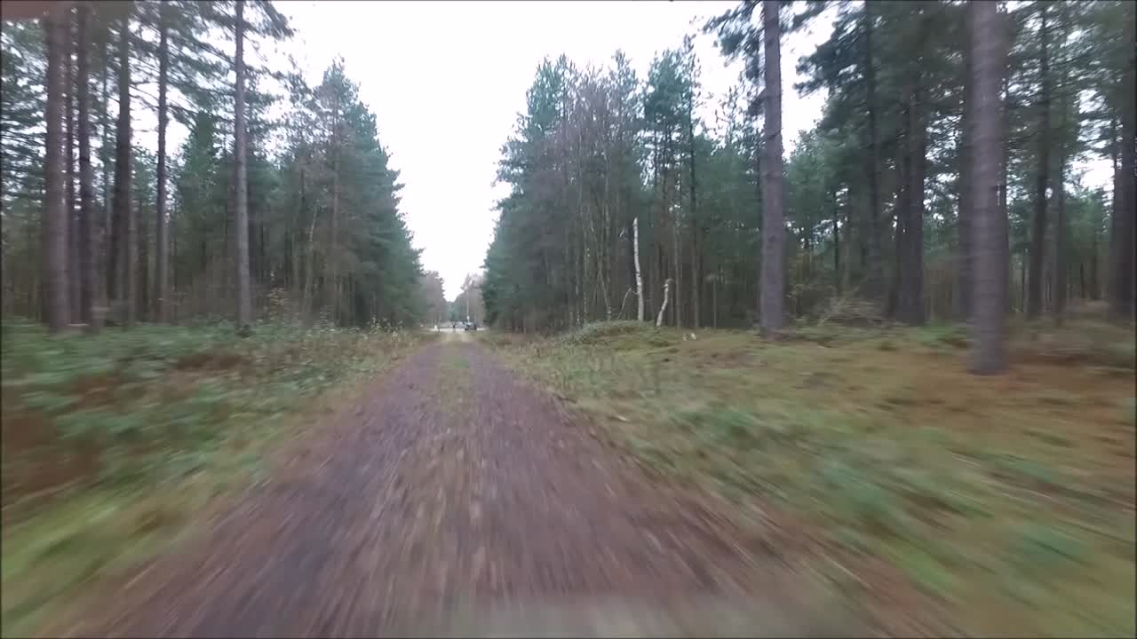 un dron volando alrededor de uno de los miles de bosques del reino unido