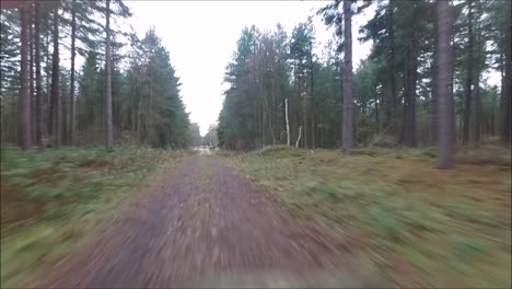 a drone flying around just one of the thousands of forests of the united kingdom