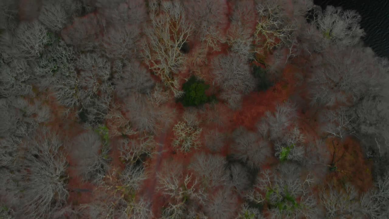 parque nacional de killarney en invierno