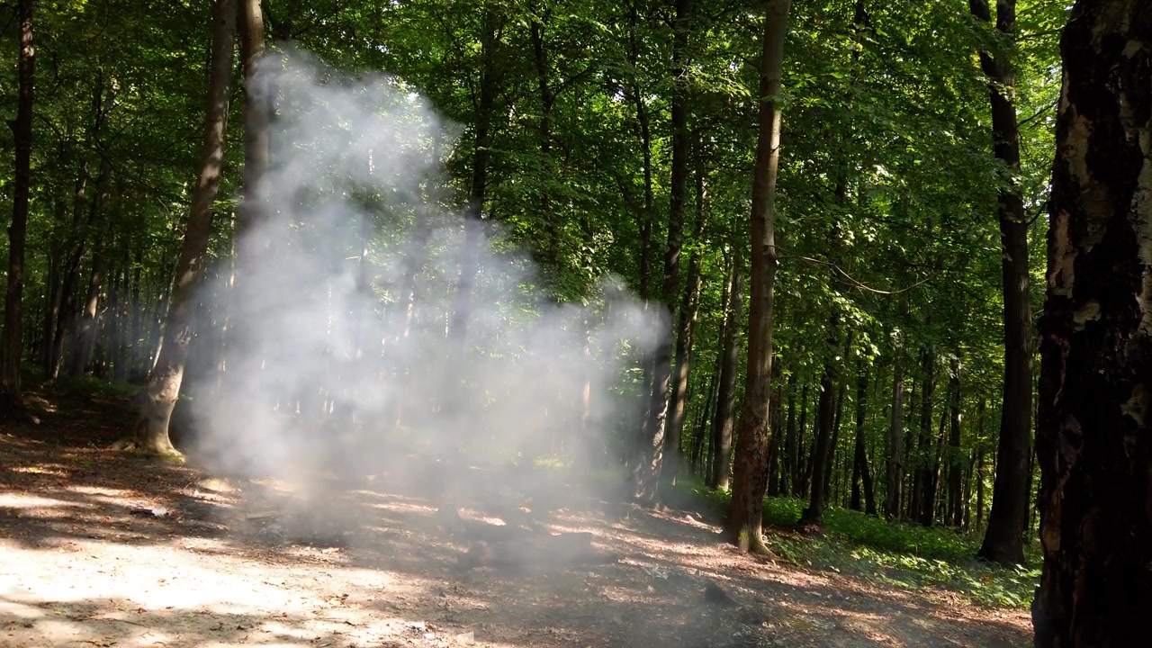 Røg fra en brand i skoven