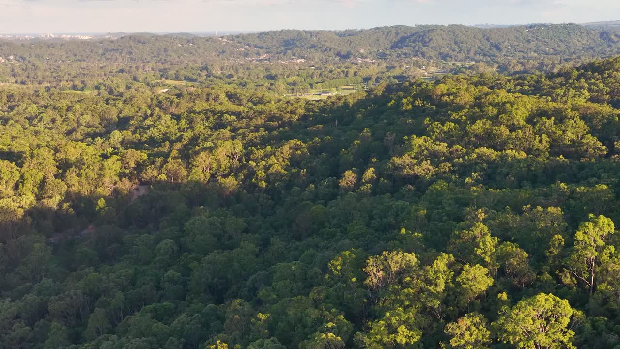 Pomalý let dronu nad hustou australskou buší odhaluje rozsáhlé koruny eukalyptů ozářené sluncem.