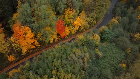 Drone-shot-of-car-driving-on-winding-road-in-the-jungle