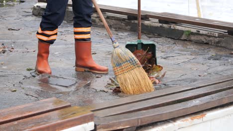 limpiador de calles barriendo hojas en otoño