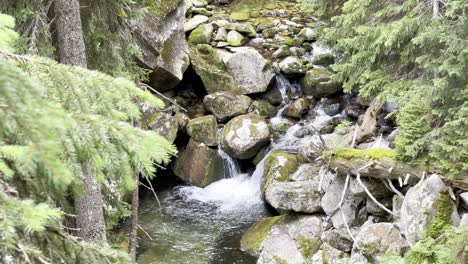 Moving-shot-of-a-waterfall-in-Retezat-mountain-in-the-Carpathians-forest,-Romania