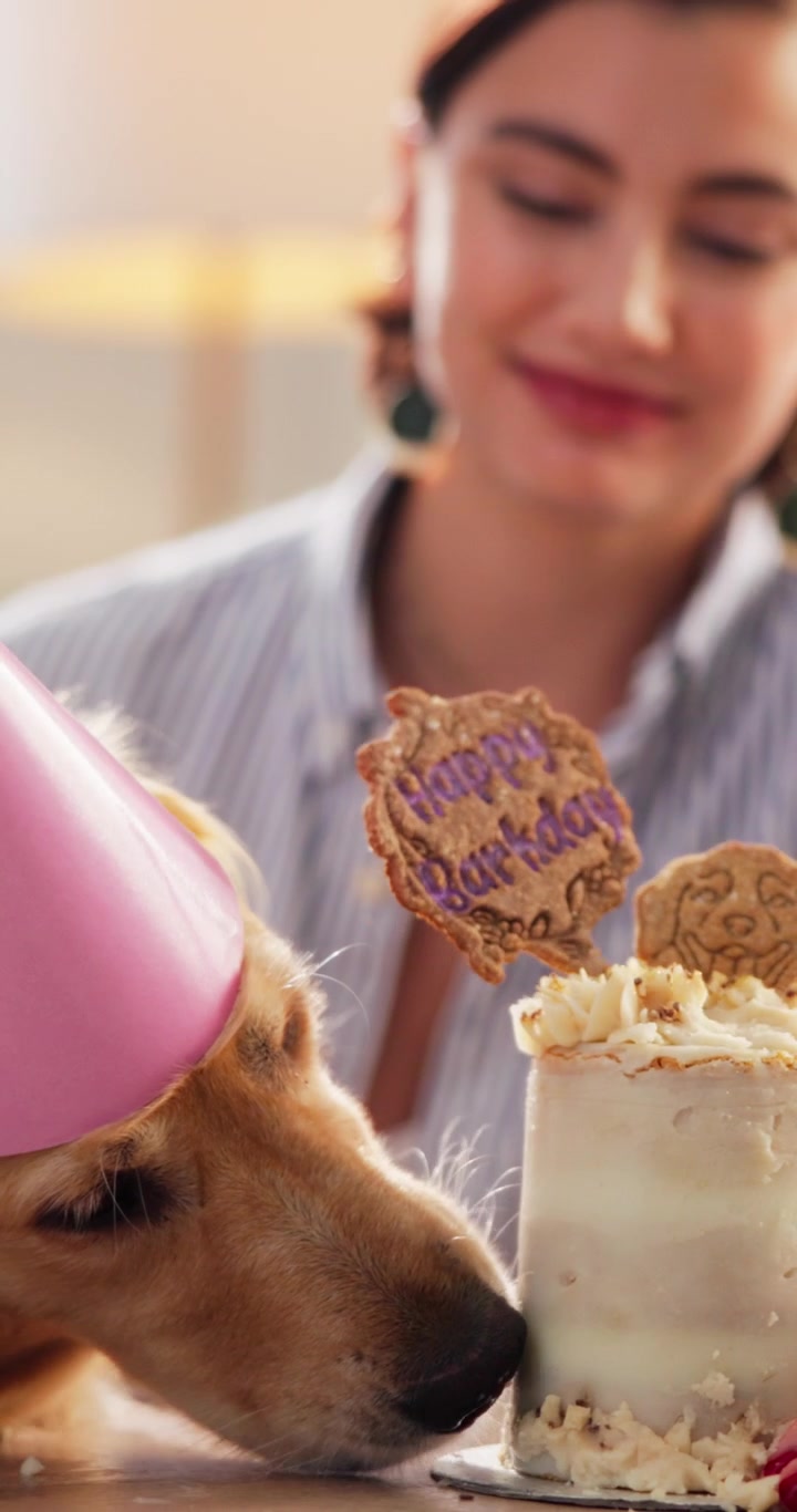 Golden Retriever Wearing Party Hat Eating Birthday Cake