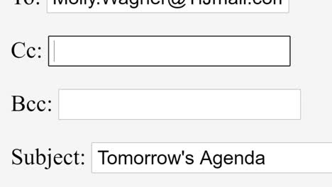 Entering Email Address in Cc Online Box. Include Carbon Copy Enter E-Mail Contact Online Network Website. Typing to Add Another Recipient User in The Loop. Viewpoint of Monitor Screen.