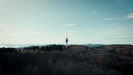 torre en medio del silencioso bosque de invierno