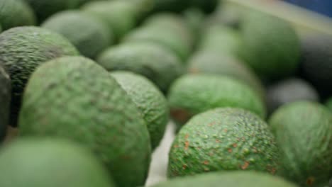 close up: avocados on a conveior belt