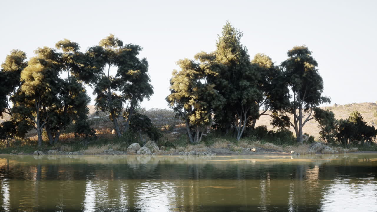 Serene lakeside view with lush trees reflecting in calm water