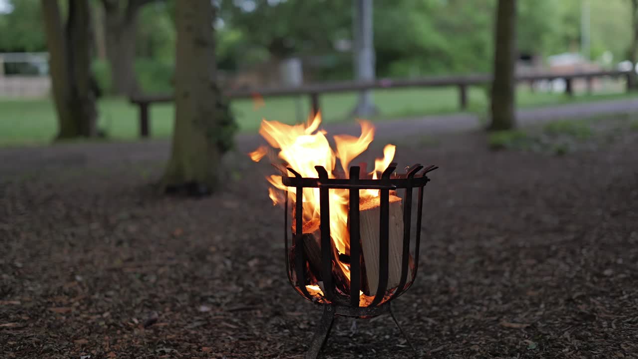 Outdoor fire pit in woodland with burning logs, parallax slider shot, defocused backdrop.