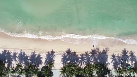 aerial view top view of beautiful tropical sea sandy beach and waves crashing against sand beach from above beautiful sea surface at phuket patong beach is famous tourist destination