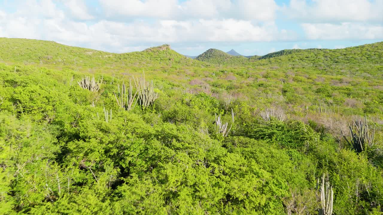 dolly aéreo por encima de westpunt cactus seco paisaje árido con colinas de curacao