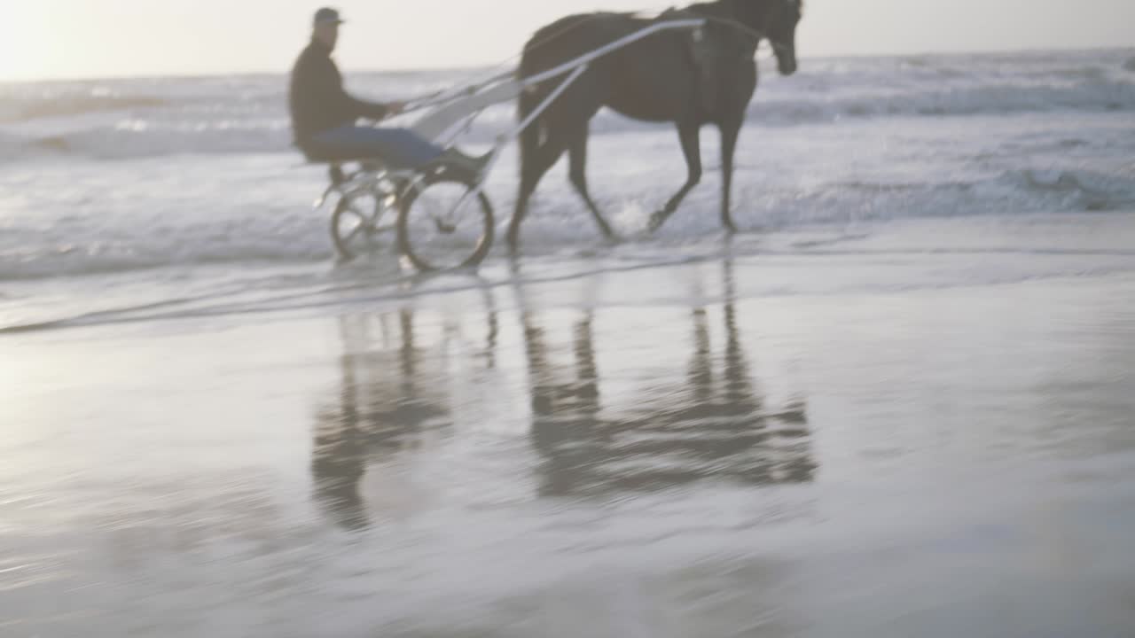 Man driving a horse on the shoreline at sunset - A cinematic trucking shot in the golden hour