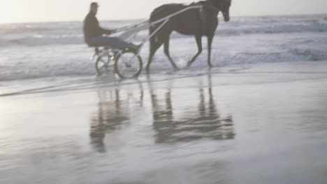man driving a horse on the shoreline at sunset - a cinematic trucking shot in the golden hour
