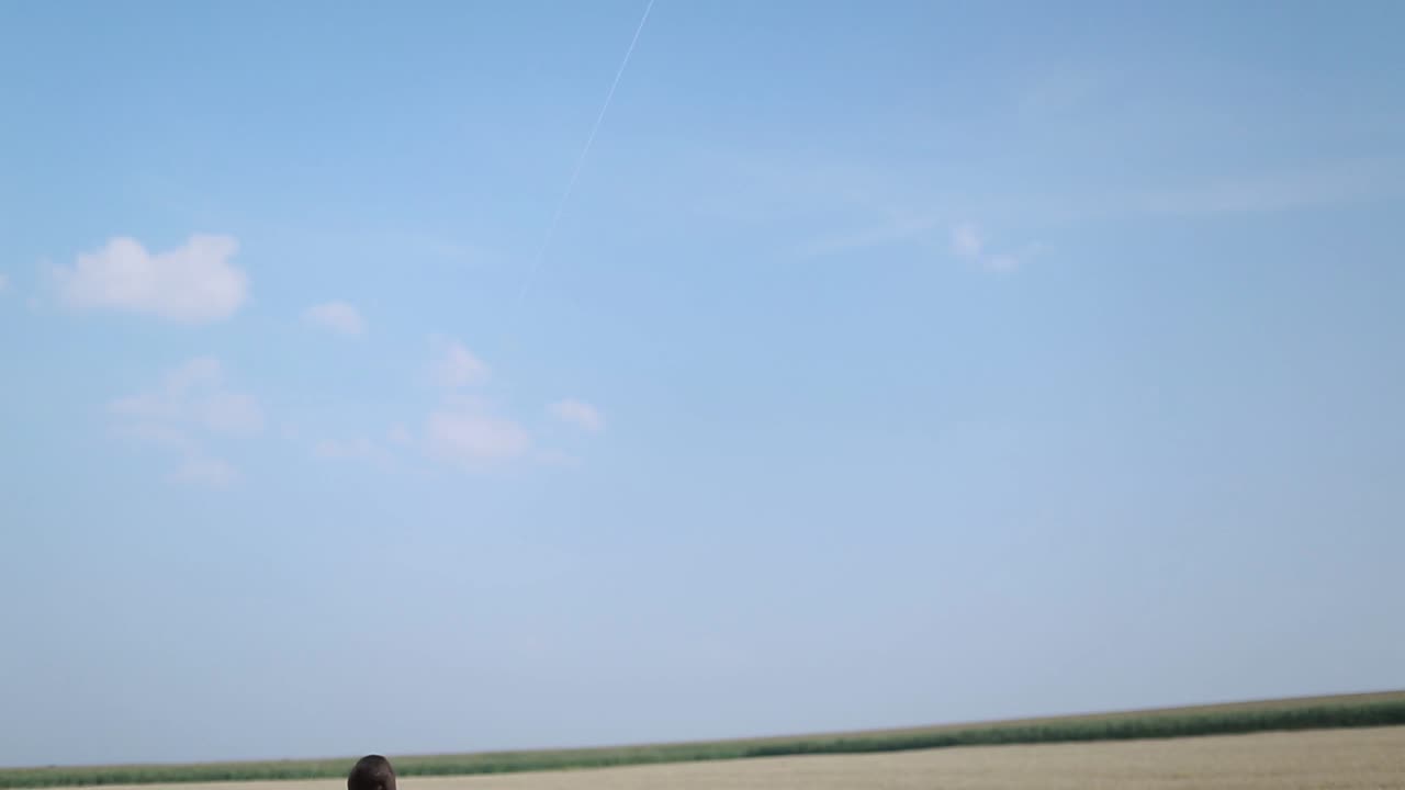 Cheerful Couple Playing Kite. Cheerful couple playing kite by the field