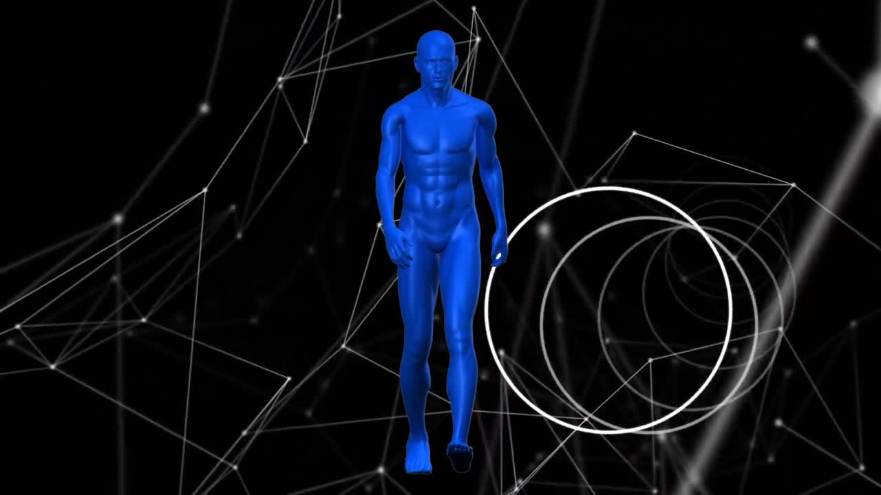 animación de la red de conexiones y procesamiento de datos sobre el modelo del cuerpo humano