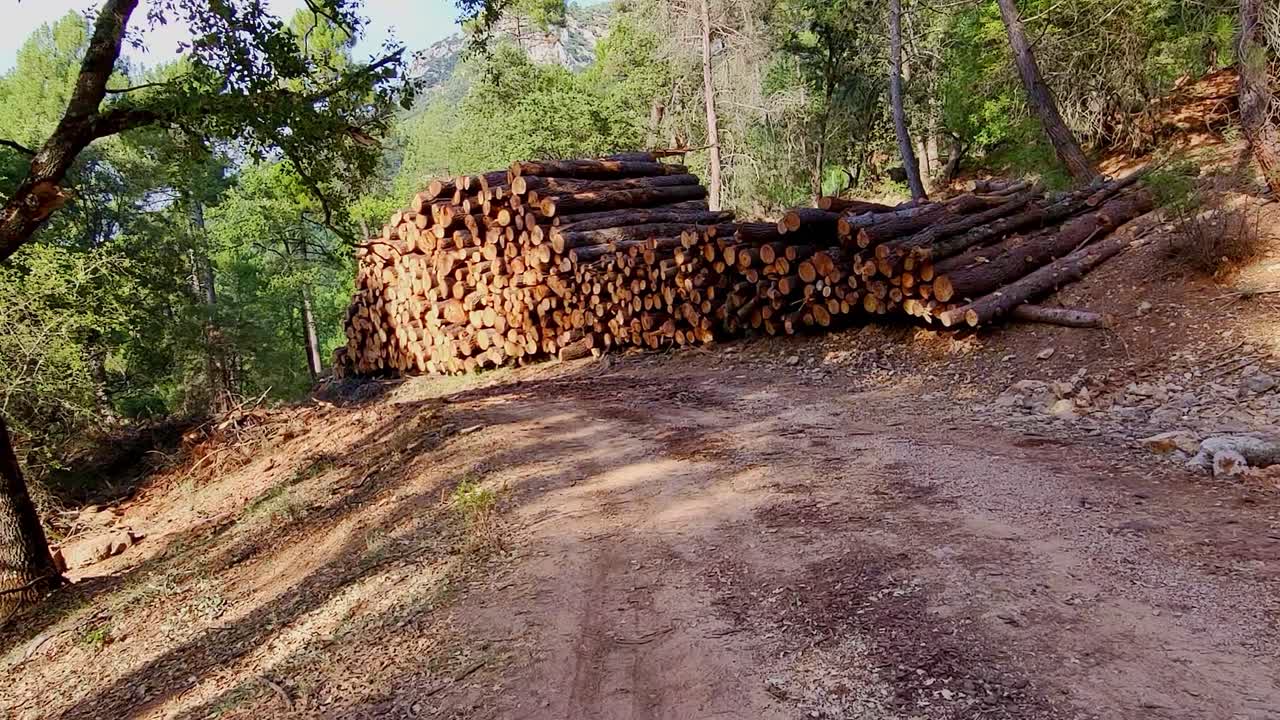 Wooden log loading. Forestry work in the forest. Pile of wooden logs. Sierra de Cazorla. Spain