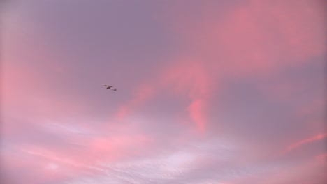 airplane after take off. pink sky scene