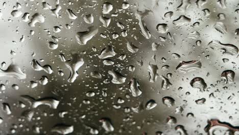 rain drops