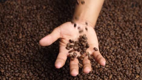 roasted coffee beans falling to hand, slow motion