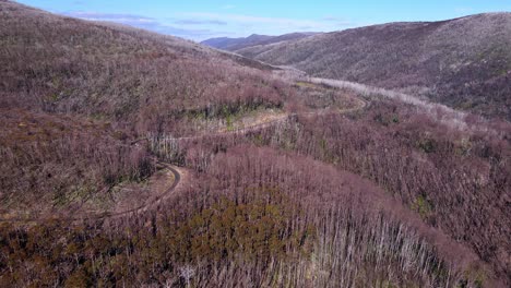 Vista-Aérea-Del-Bosque-En-El-Parque-Nacional-Kosciuszko,-Australia---Disparo-De-Drone